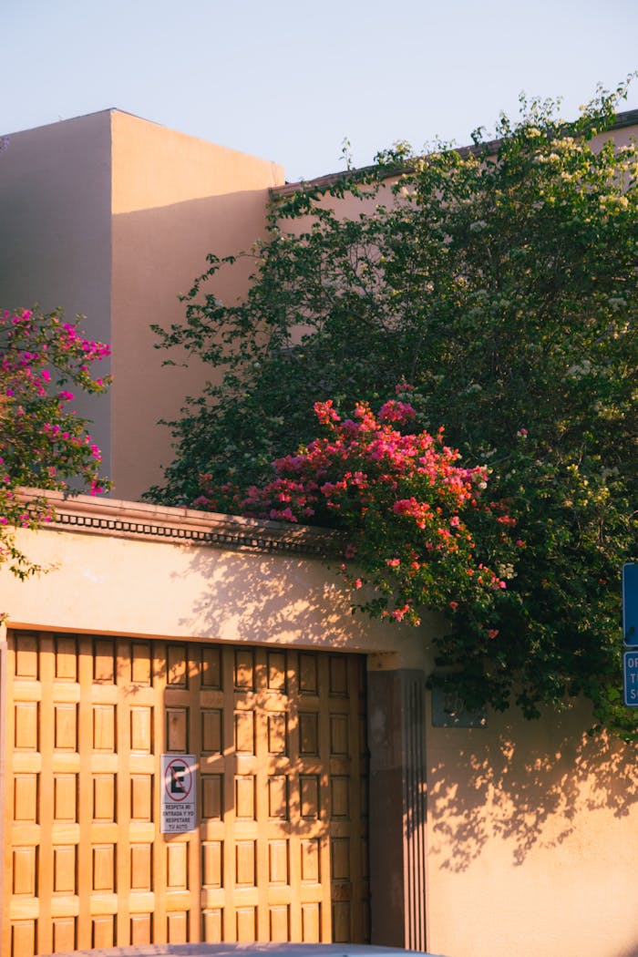 A sunny view of a Mexican house exterior adorned with vibrant bougainvillea.
