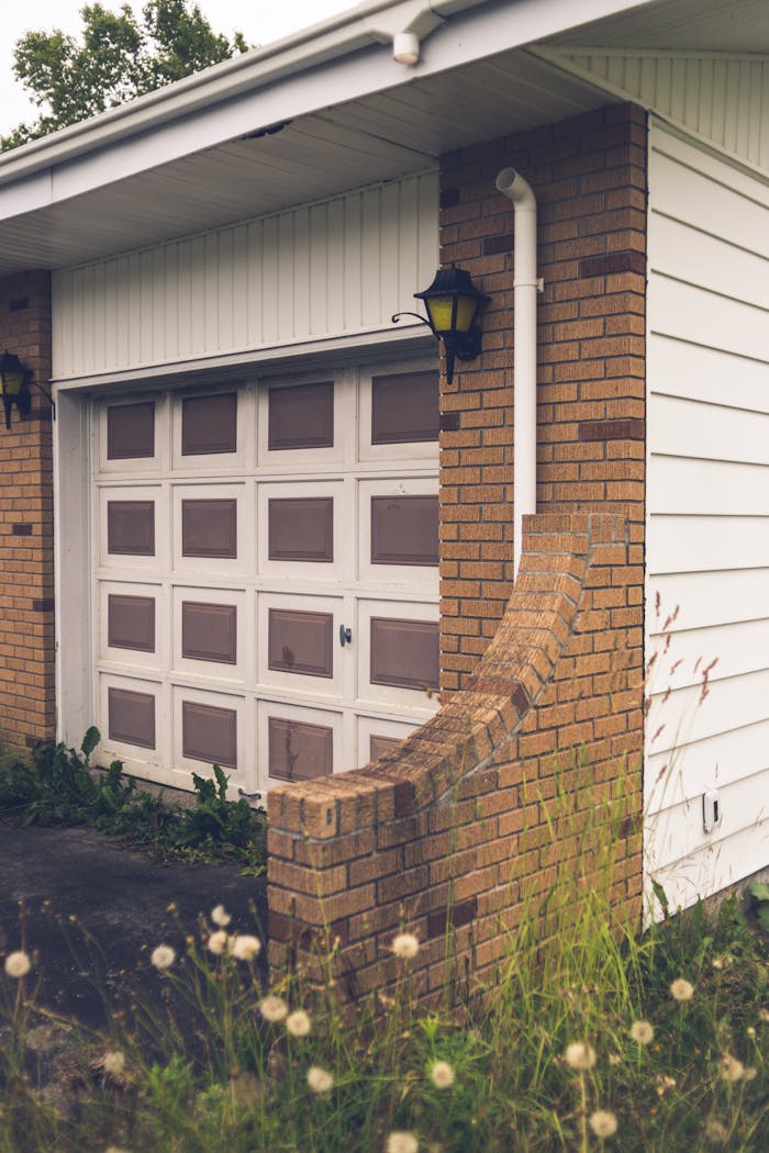 Old building exterior with brick wall near grass with growing dandelions in daylight